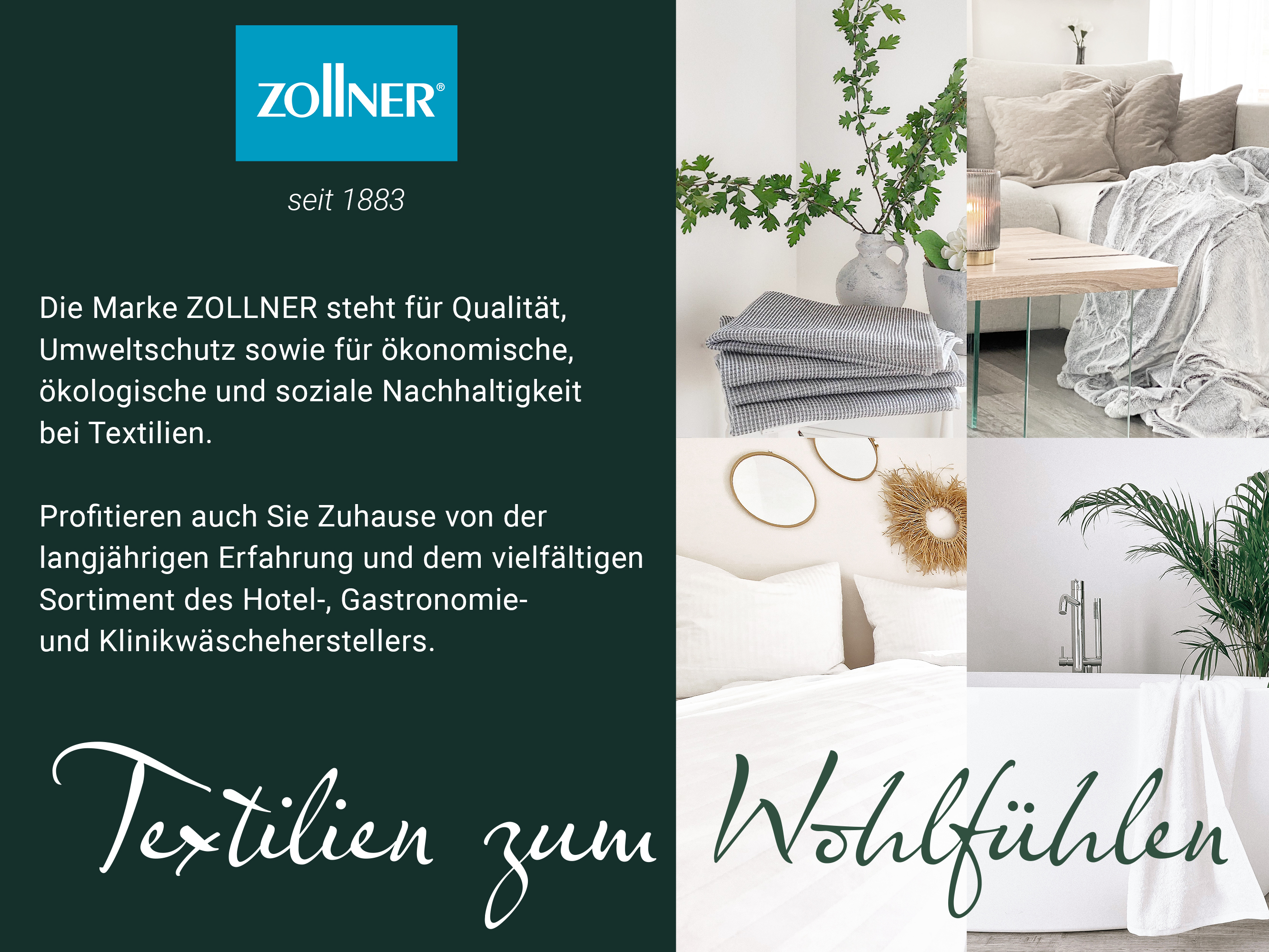 Bild 7 von 7